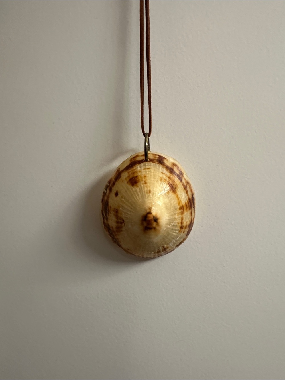 Shell necklace opihi Maui
